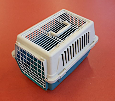 katzentransportkiste
