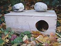 futterkiste holz beschwert